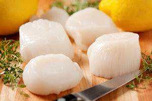 454g Medium Canada Sea Scallop (Frozen)