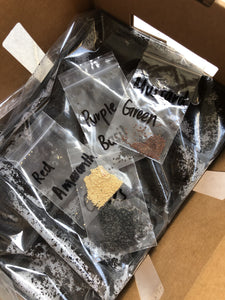 Herbs Kit