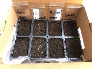 Herbs Kit