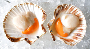 Half Shelled Scallops With Roe (Frozen)